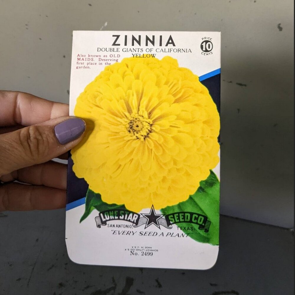 Vintage Yellow Zinnia Empty Seed Packets set of 4 - Picture 2 of 3